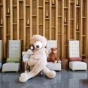 member face