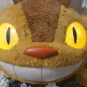 member face