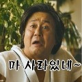 member face