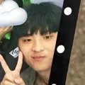 member face