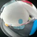 member face