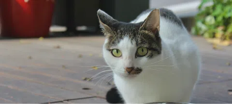 모임 대표 이미지