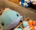 member face
