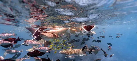 모임 대표 이미지