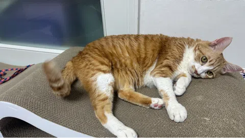 정모 대표 이미지