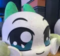 member face
