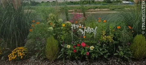 모임 대표 이미지