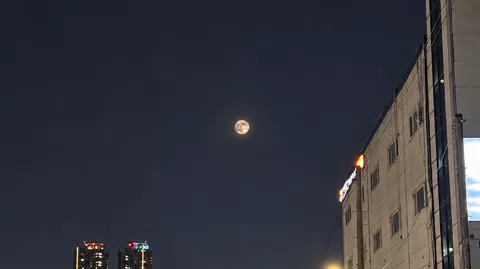 정모 대표 이미지