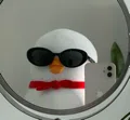 member face