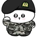 member face