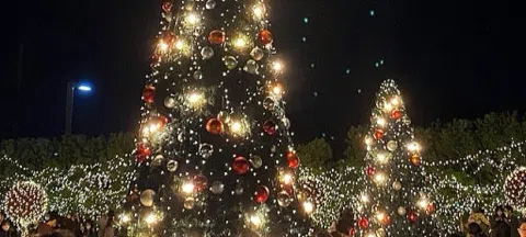 모임 대표 이미지