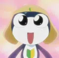 member face