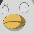 member face