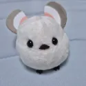 member face