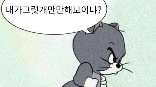 정모 대표 이미지