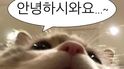 정모 대표 이미지