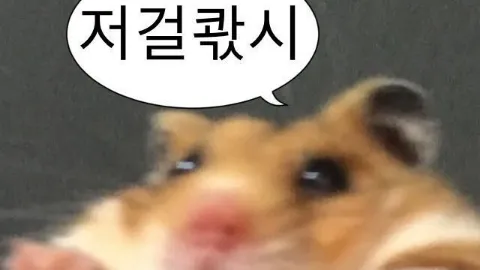 정모 대표 이미지