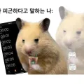 member face