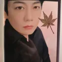 member face