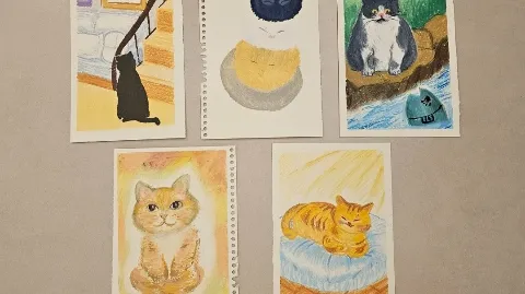 정모 대표 이미지