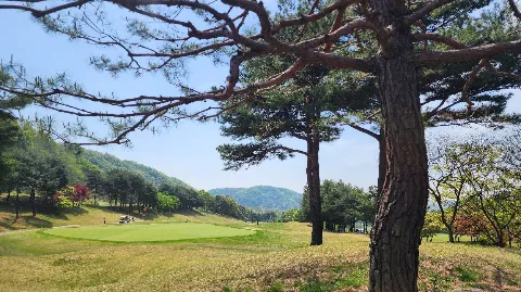 정모 대표 이미지