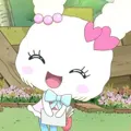 member face