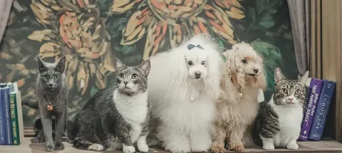 모임 대표 이미지