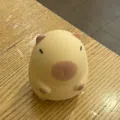 member face