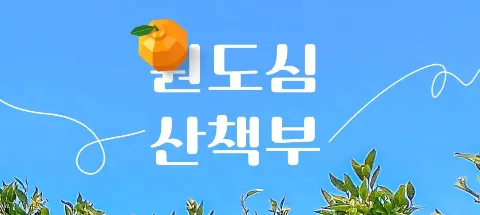 모임 대표 이미지