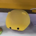 member face
