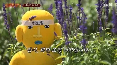 정모 대표 이미지