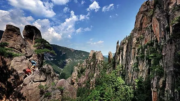 정모 대표 이미지