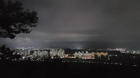정모 대표 이미지
