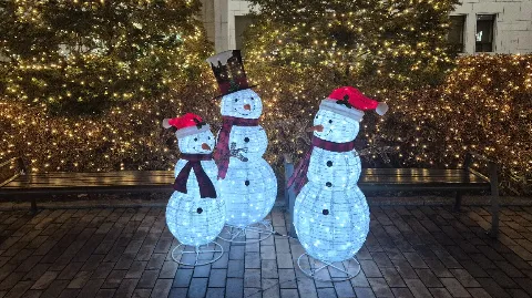 정모 대표 이미지