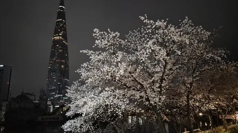 정모 대표 이미지