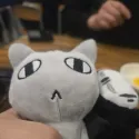 member face