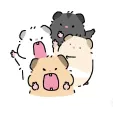 member face
