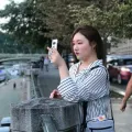 member face