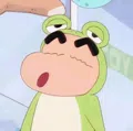 member face