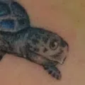 member face