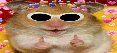 모임 대표 이미지