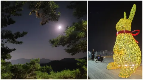 정모 대표 이미지