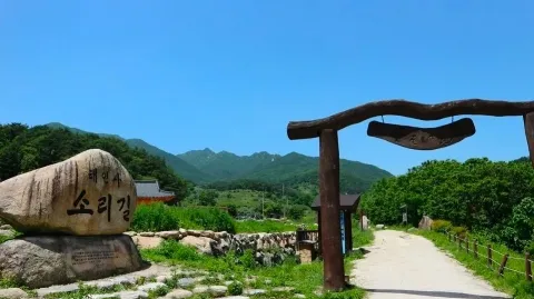 정모 대표 이미지