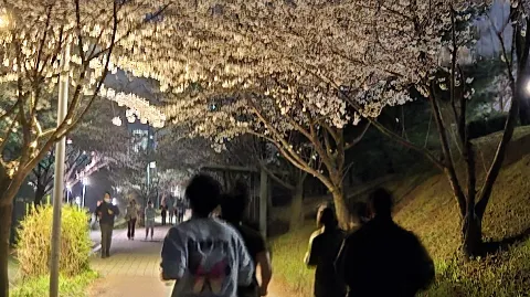 정모 대표 이미지