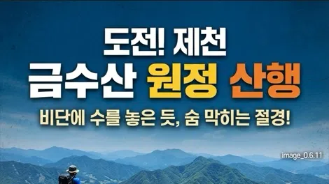 정모 대표 이미지