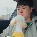 member face