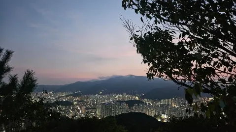 정모 대표 이미지