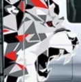 member face