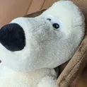 member face