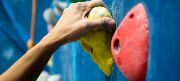 모임 대표 이미지